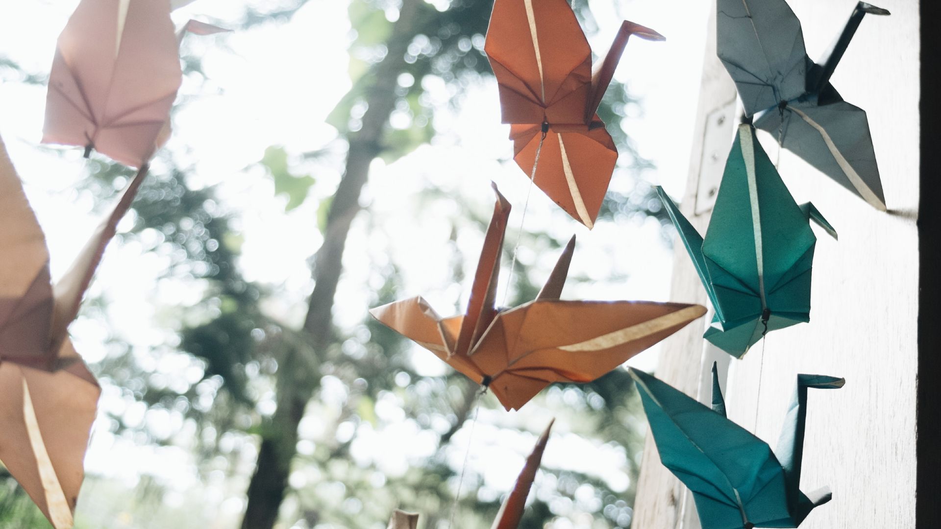 P&aacute;ssaros de papel