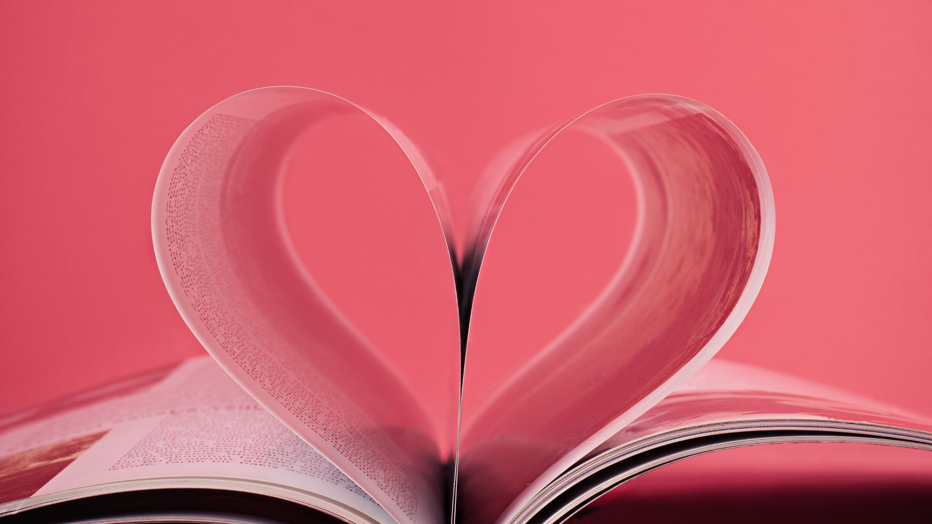 Conselhos dos avós valem ouro