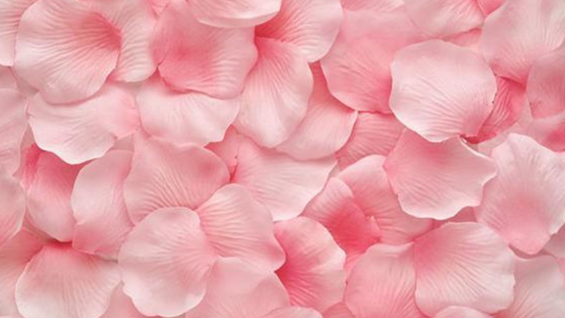 P&eacute;talas de rosa sobrepostas