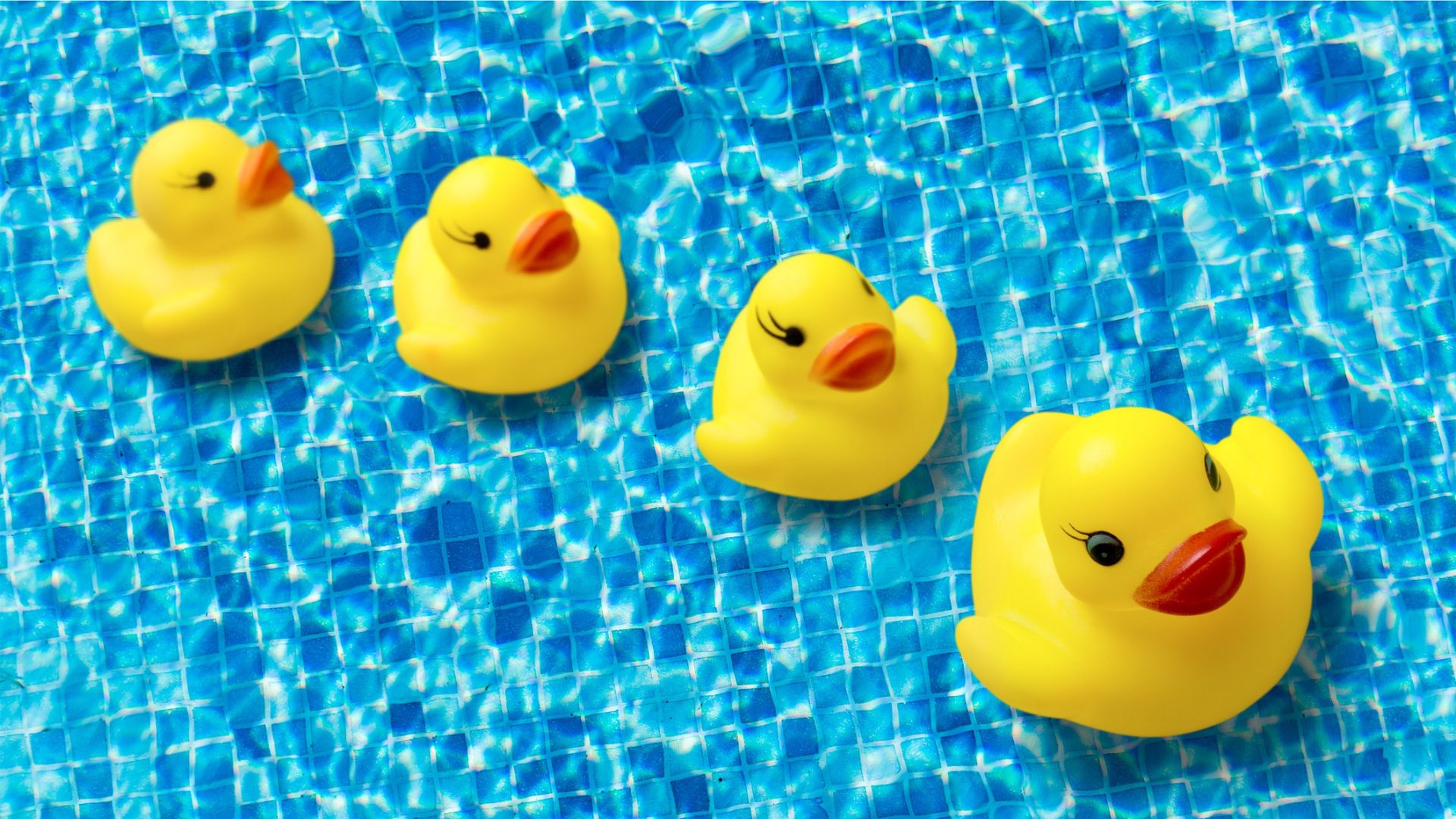 patinhos de borracha na &aacute;gua