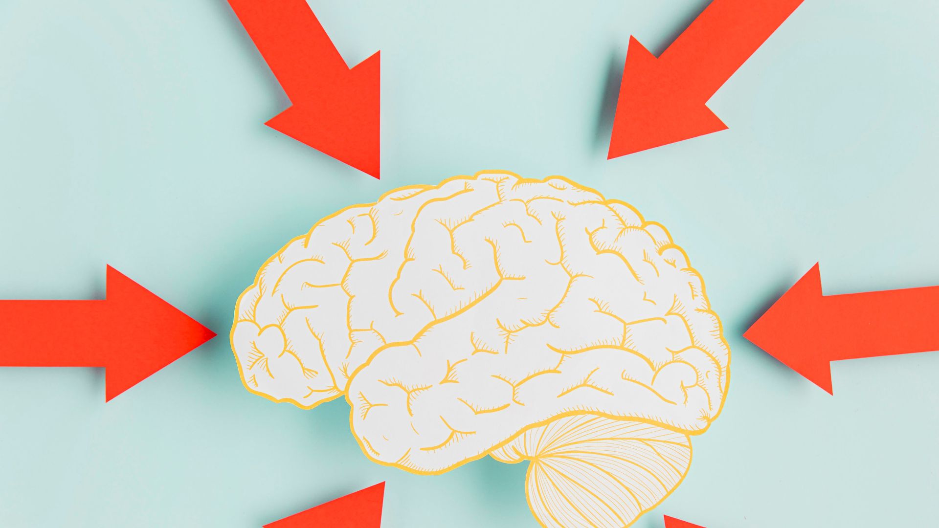 Setas apontando para o cérebro