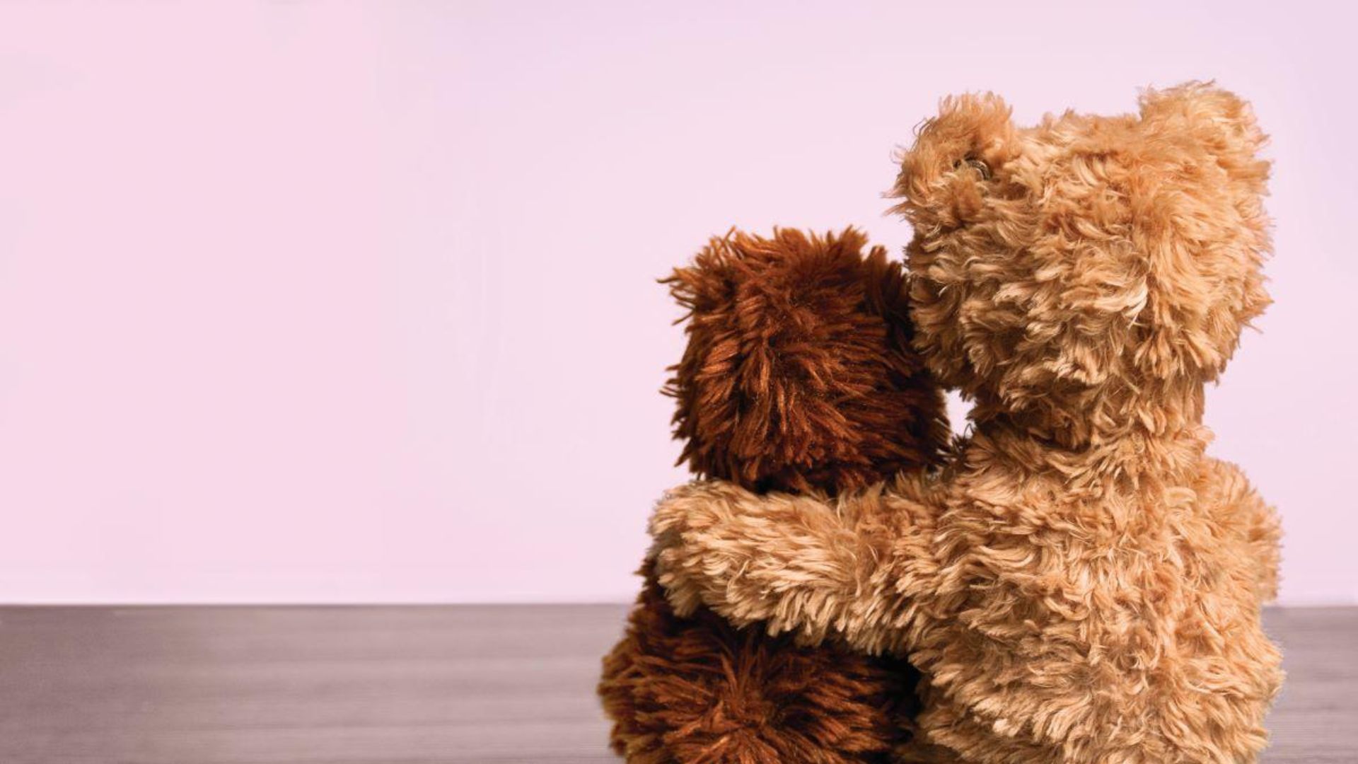 Ursinhos se abra&ccedil;ando