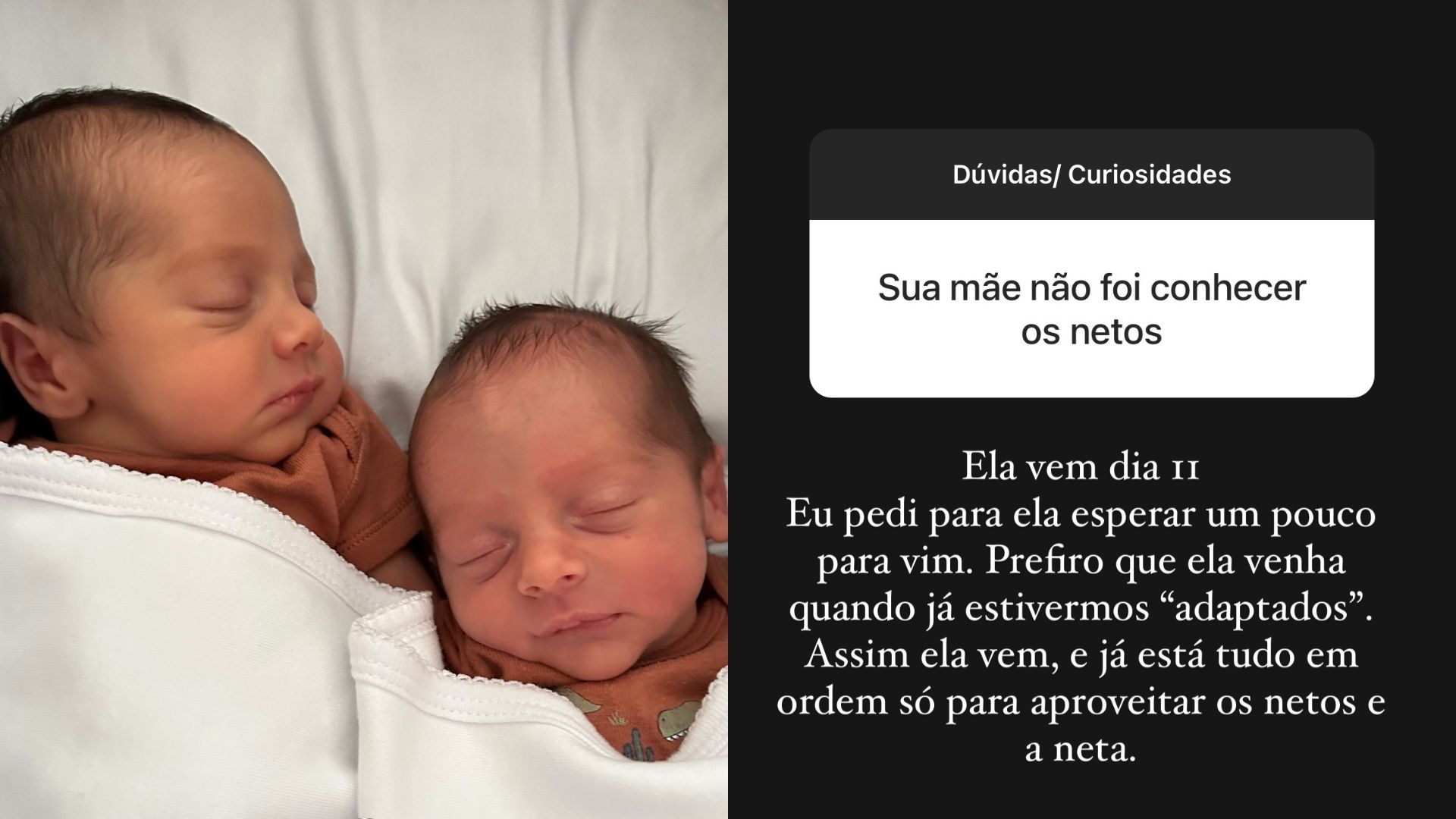 G&ecirc;meos &Aacute;lvaro e Ant&ocirc;nio filhos de B&aacute;rbara Evans, que responde caixa de pergunta sobre a m&atilde;e, Monique Evans ainda n&atilde;o ter ido conhec&ecirc;-los
