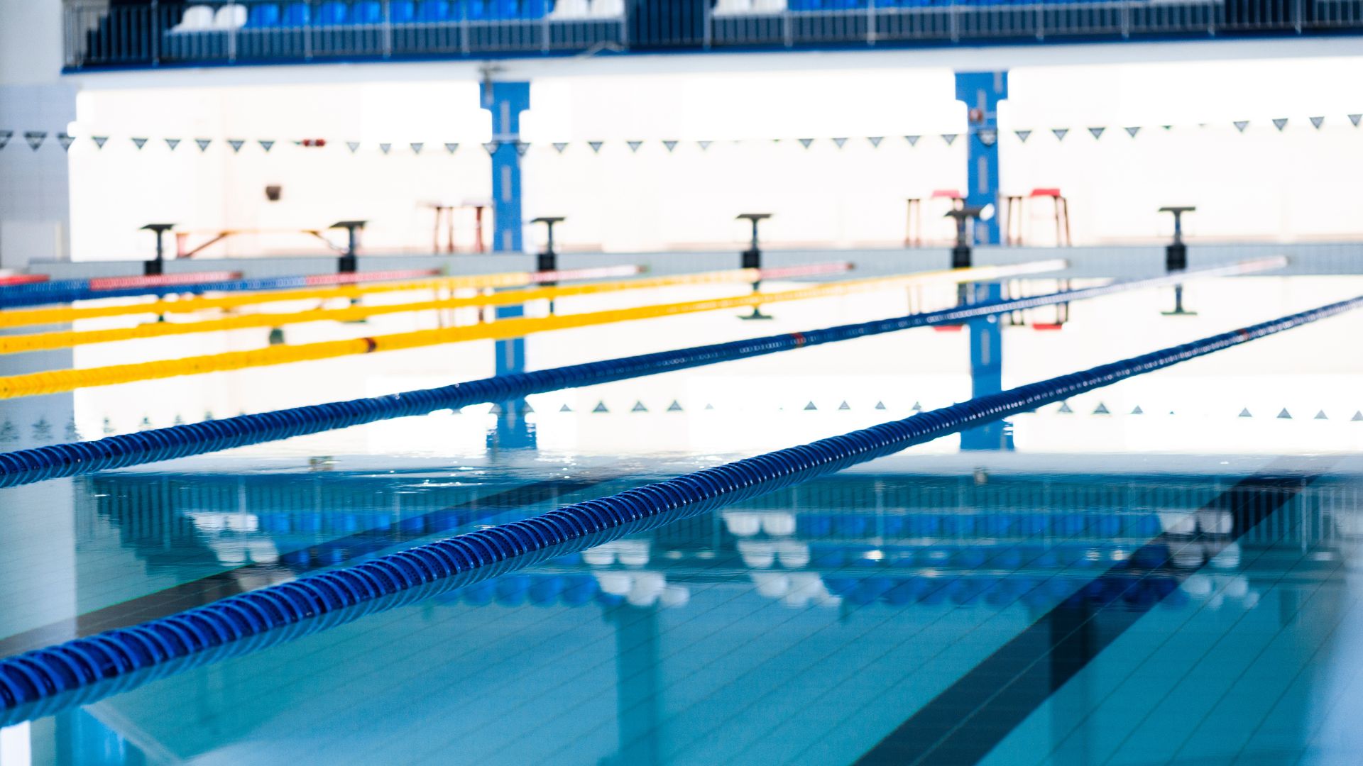 Piscina ol&iacute;mpica 