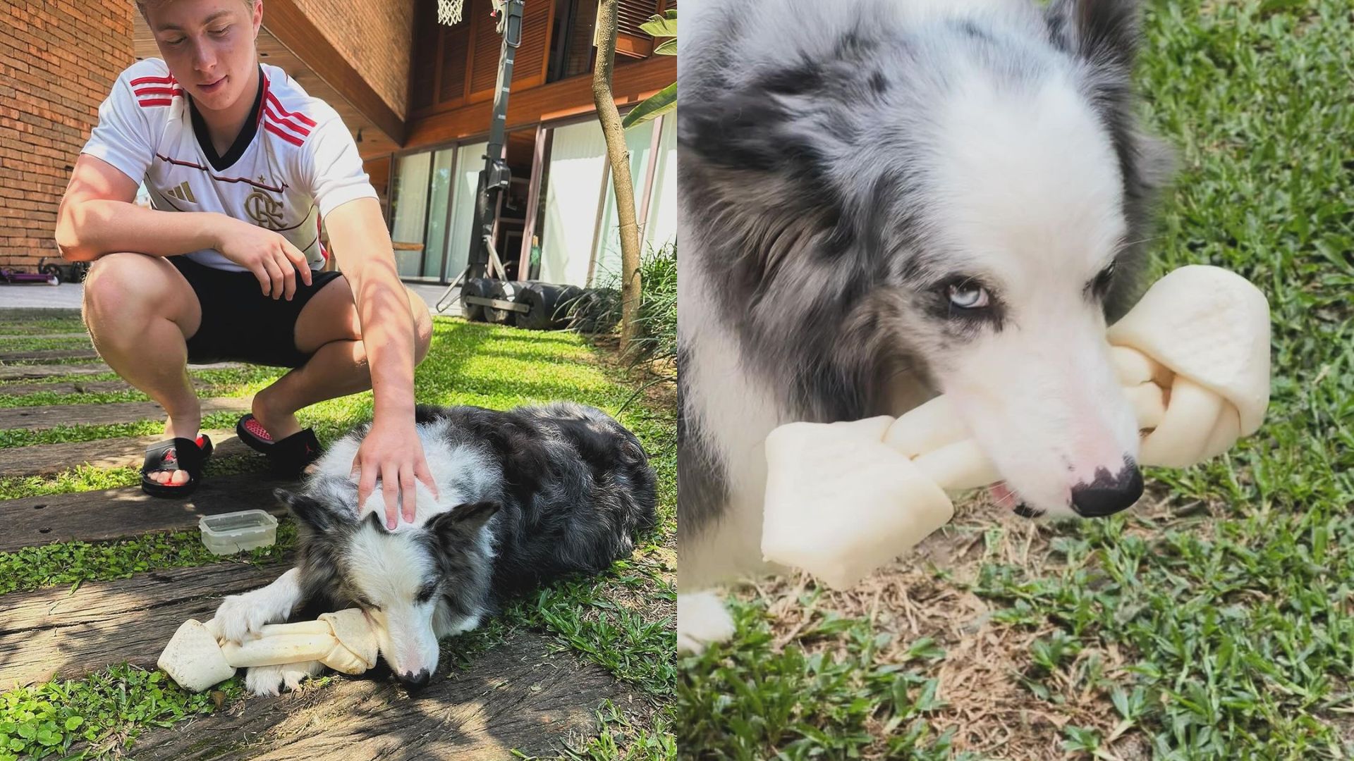 Filho e cachorra de Angelica e Luciano Huck