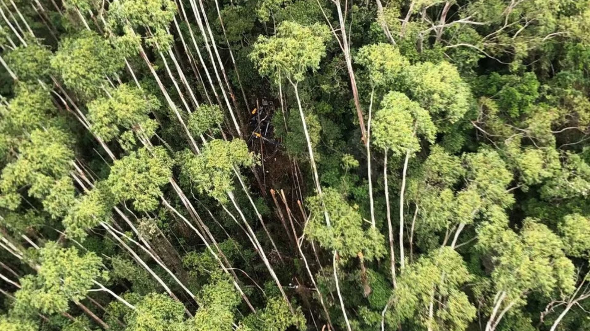Destro&ccedil;os do helic&oacute;ptero encontrados ap&oacute;s 12 dias de buscas