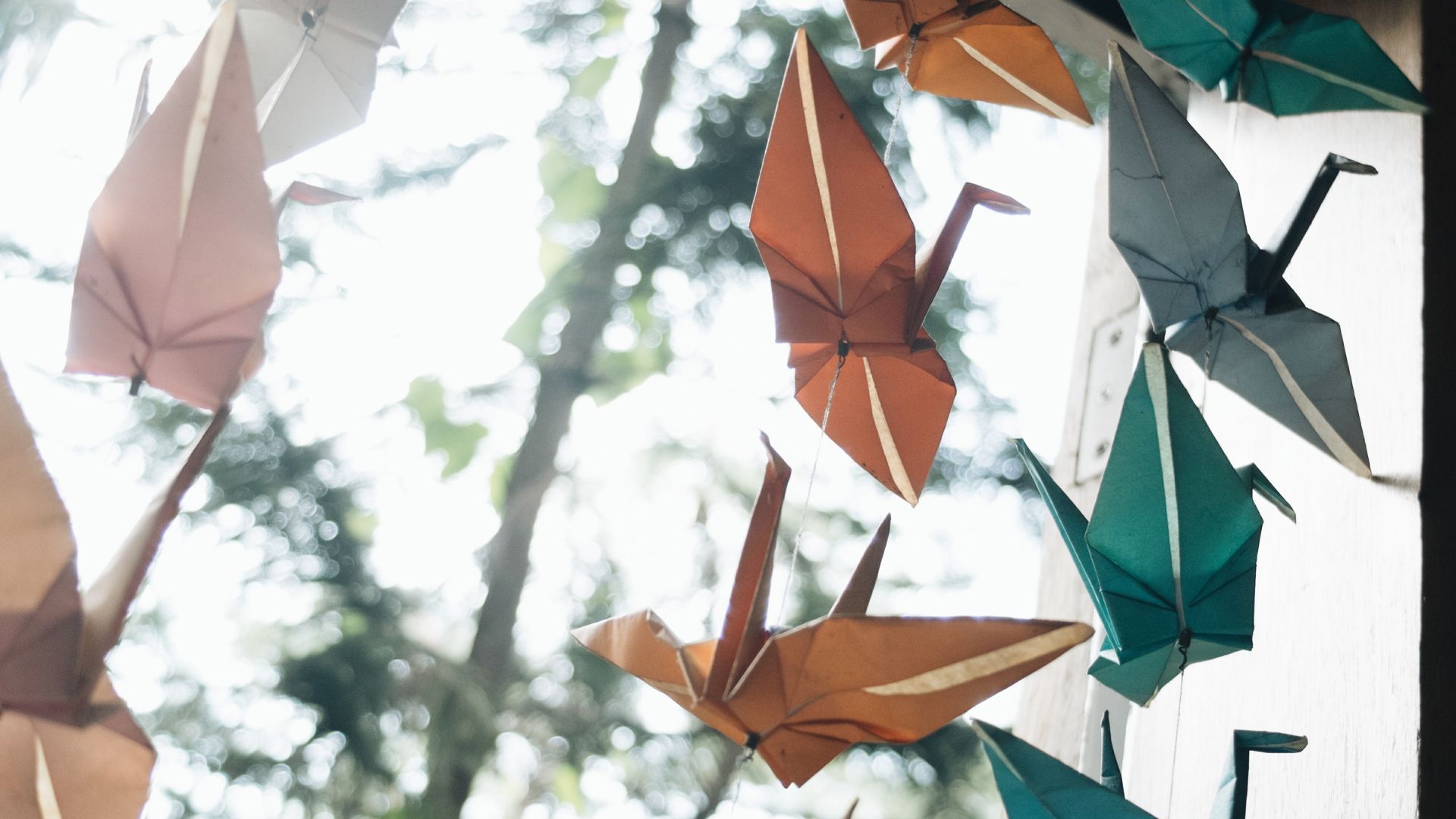 P&aacute;ssaros de papel voando