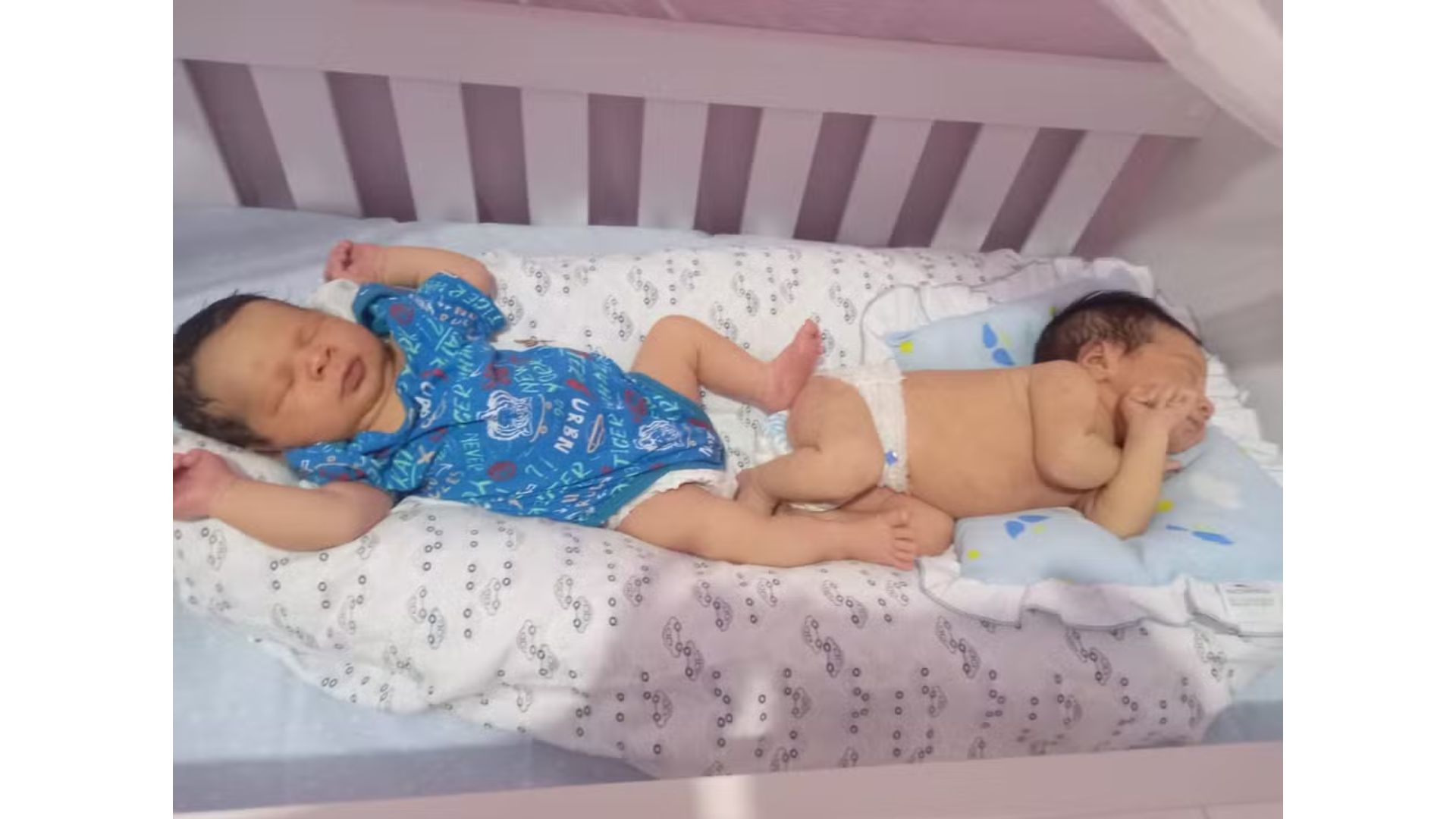 Os beb&ecirc;s nasceram saud&aacute;veis