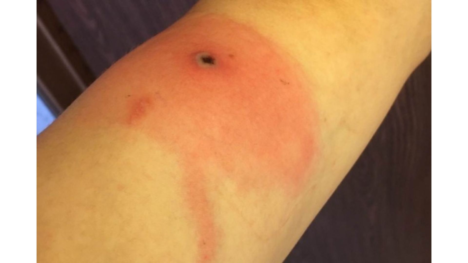 Feriado var&iacute;ola do Alasca