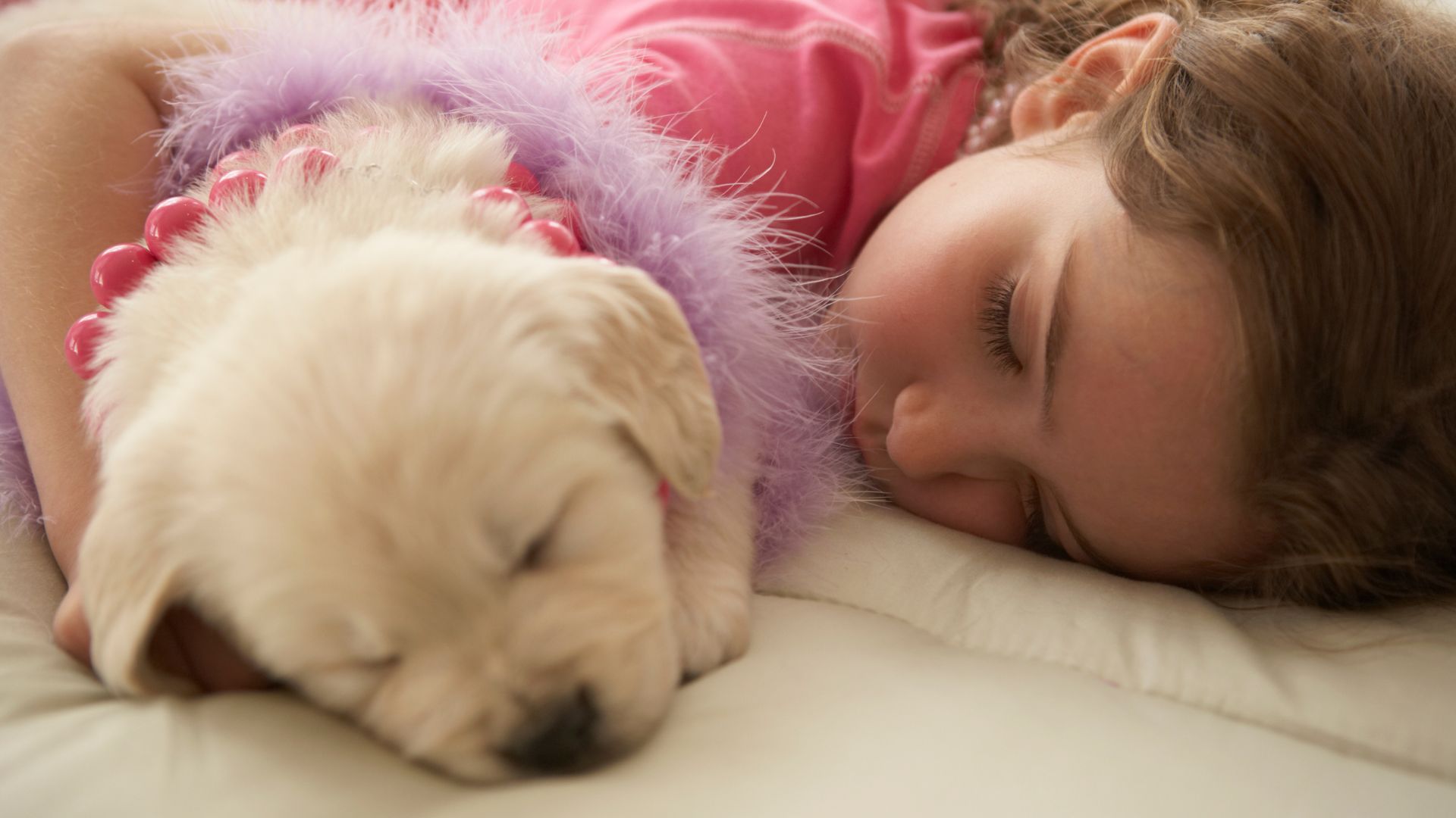 Criança e cachorro deitados