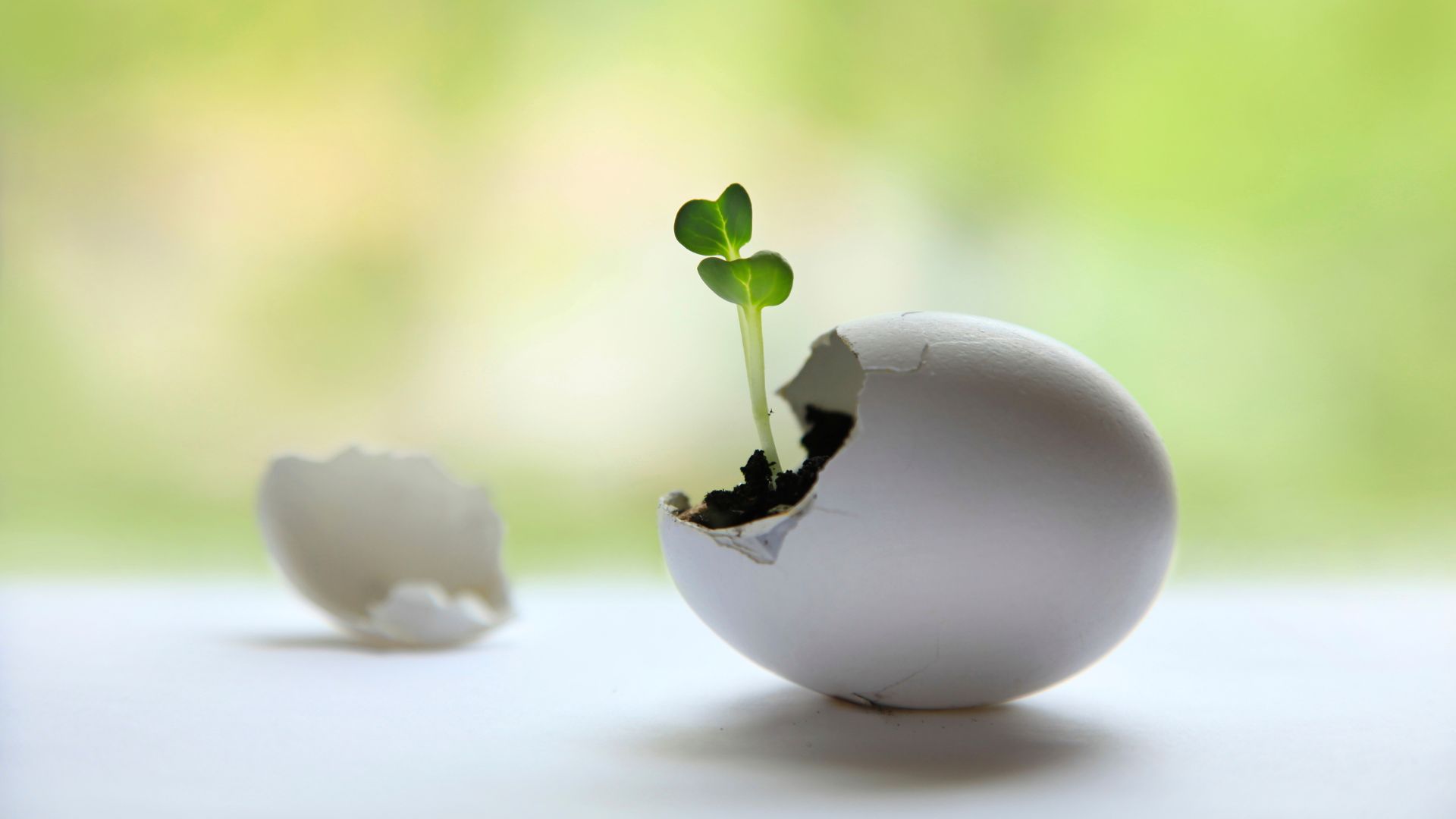 Doenças que afetam a fertilidade