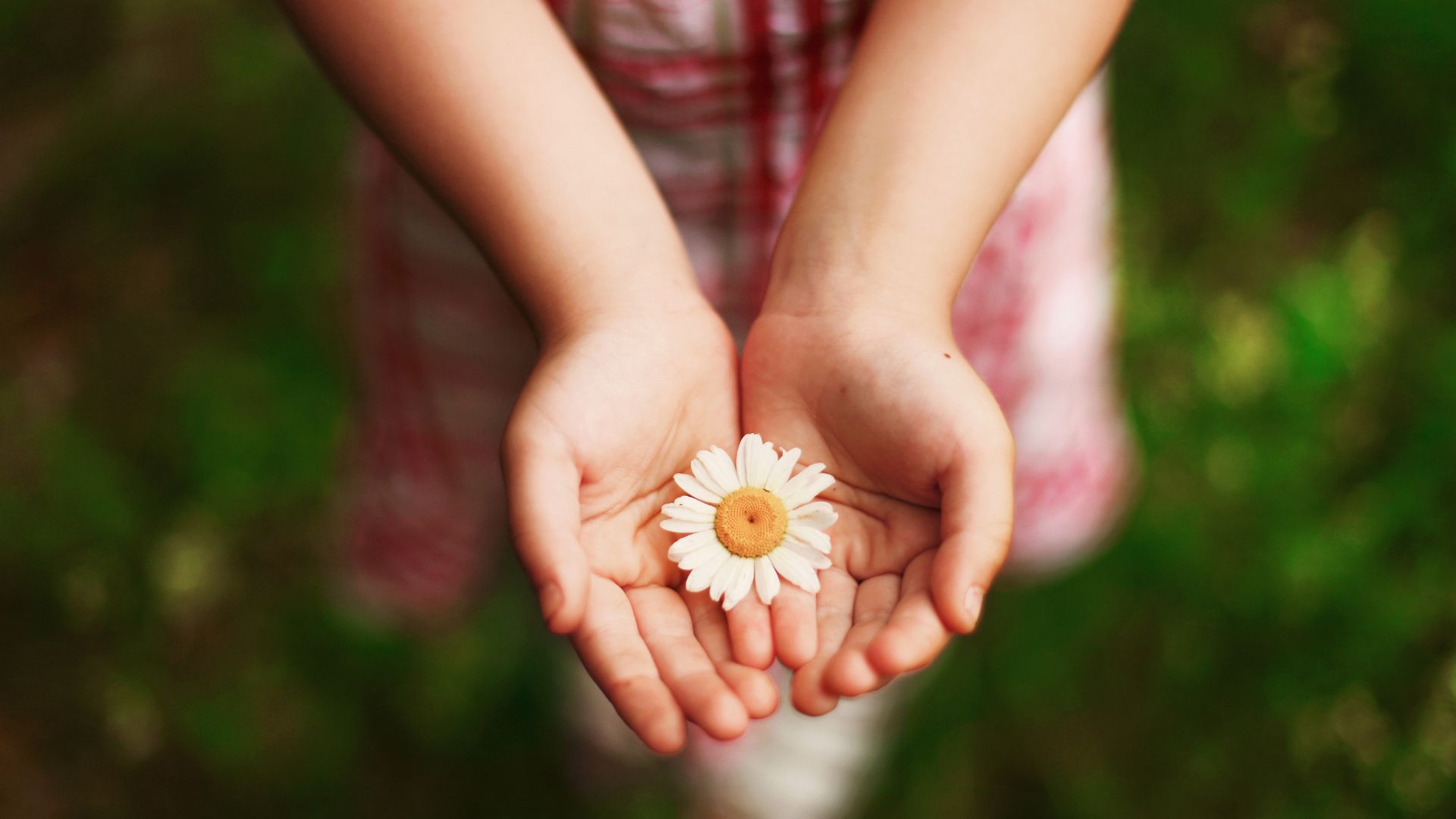 Menina segurando flor