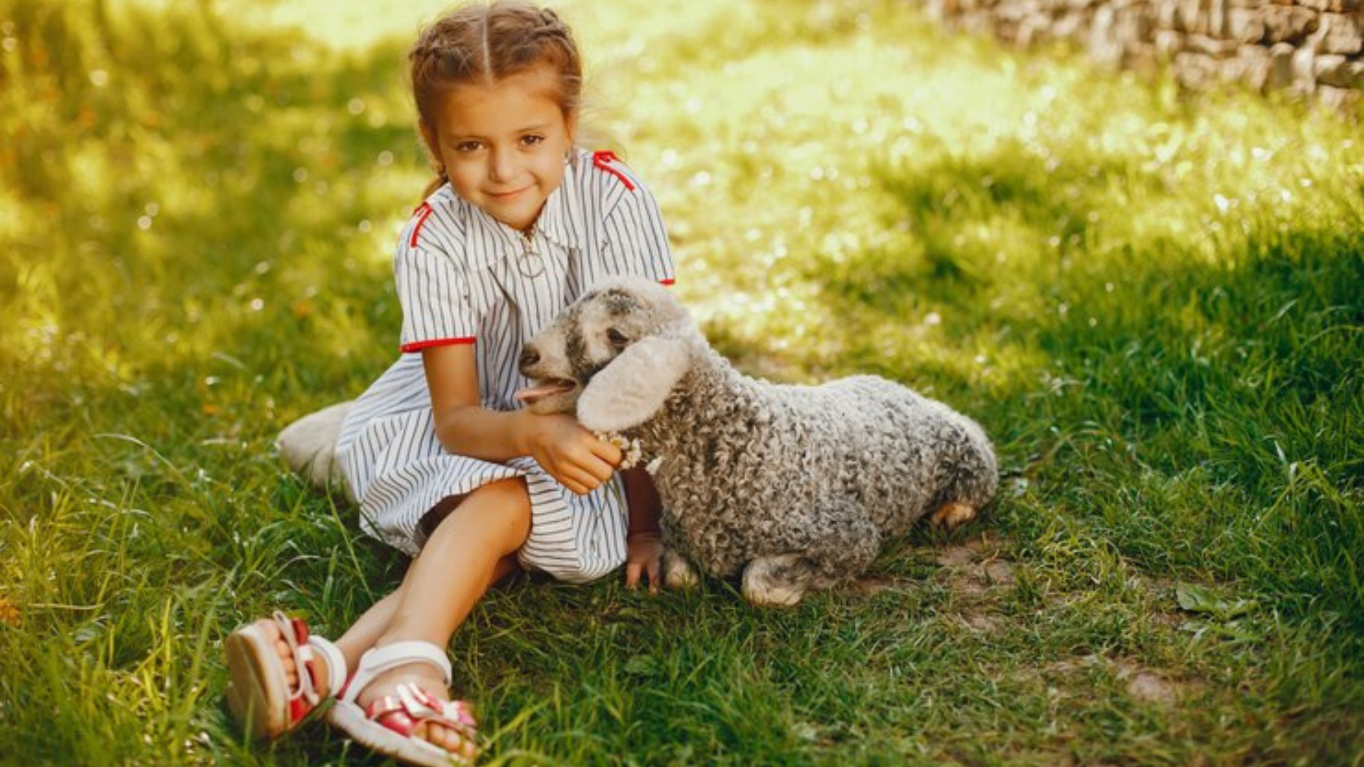 Crian&ccedil;a com animal