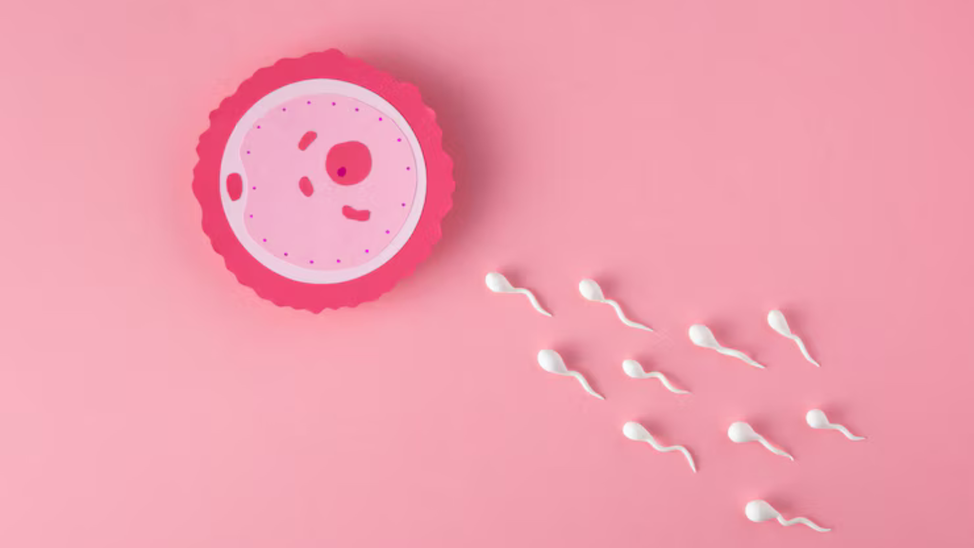 Trombofilia fertilidade