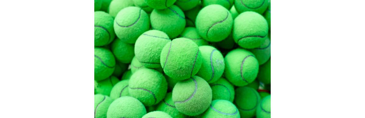 shutterstock_276799730_