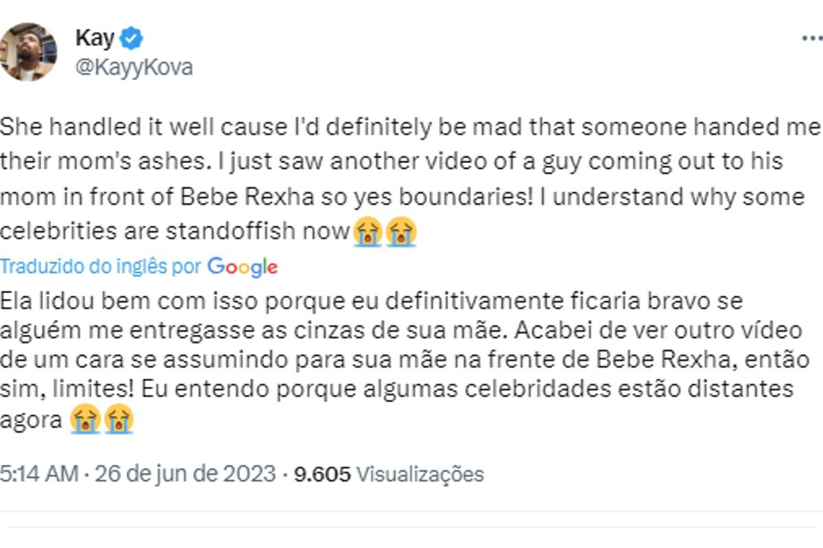 Um usuário do Twitter falou sobre a fã ter jogado as cinzas de sua mãe no palco da cantora Pink