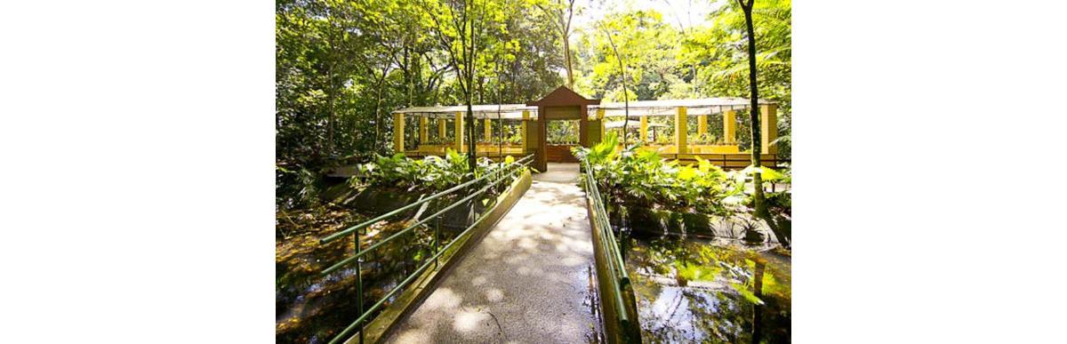 (Foto: Reprodução / Site Prefeitura Recife)