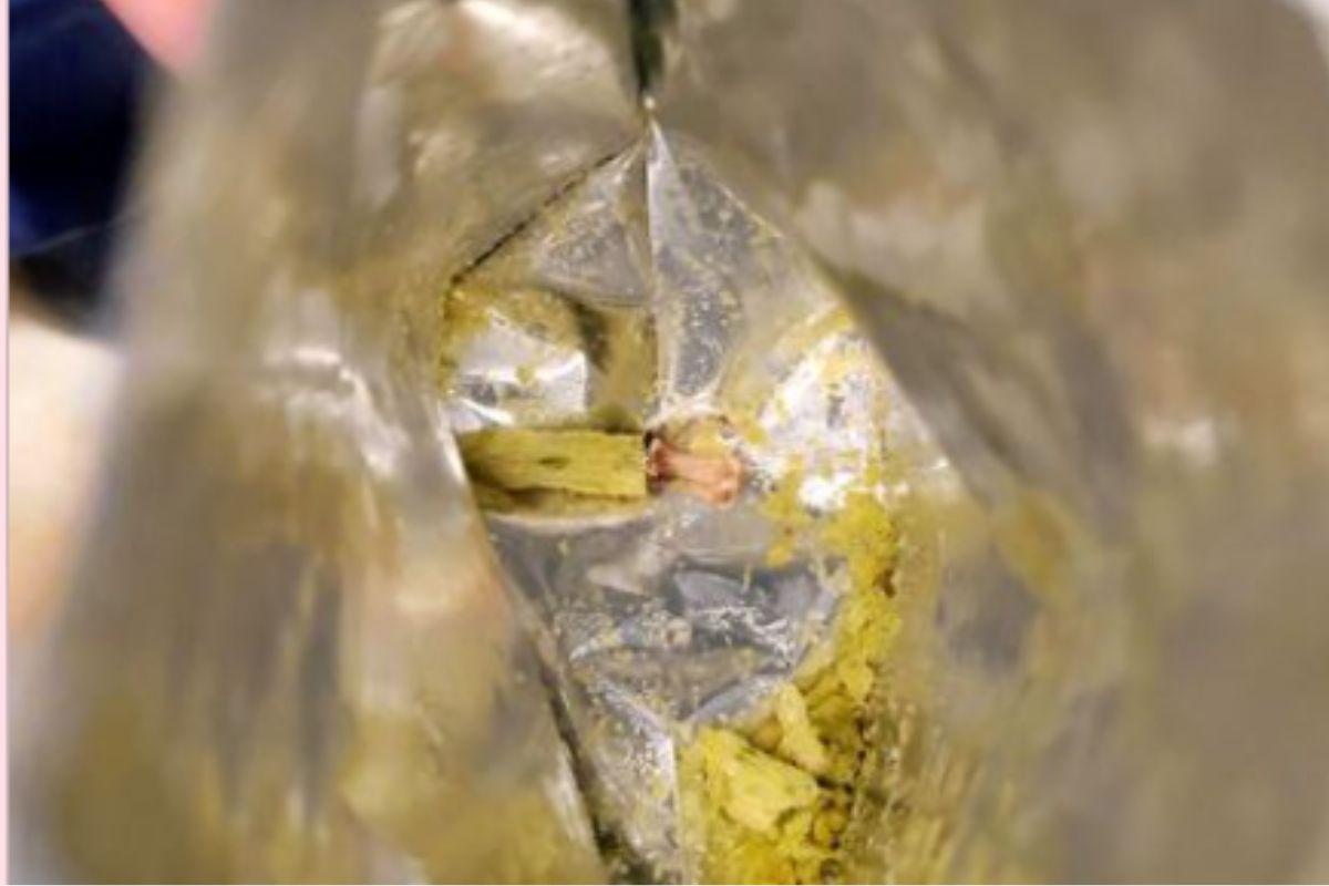 Mulher encontra osso em pacote salgadinho (1)