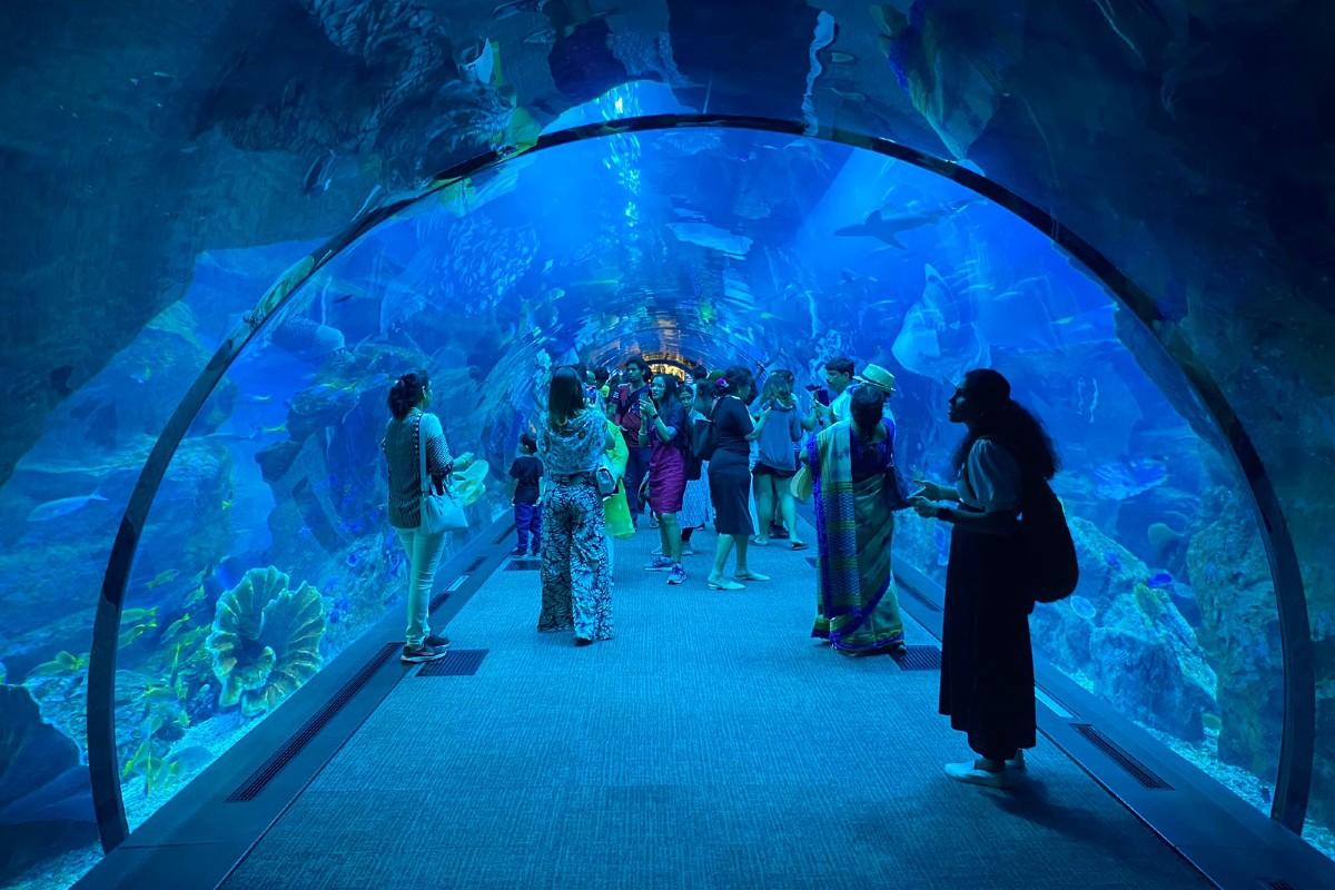 Dubai Aquarium & Underwater Zoo