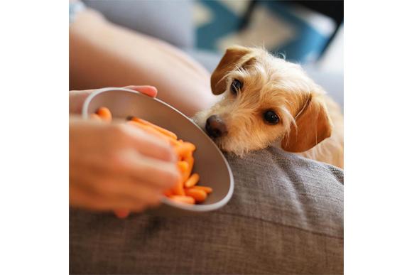 (Foto: Reprodução/Instagram)