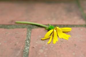 Mãe que matou os dois filhos é encaminhada para hospital psiquiátrico