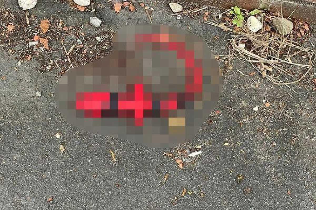 Uma mulher compartilhou a história nas redes sociais quando o filho encontrou um brinquedo adulto na rua