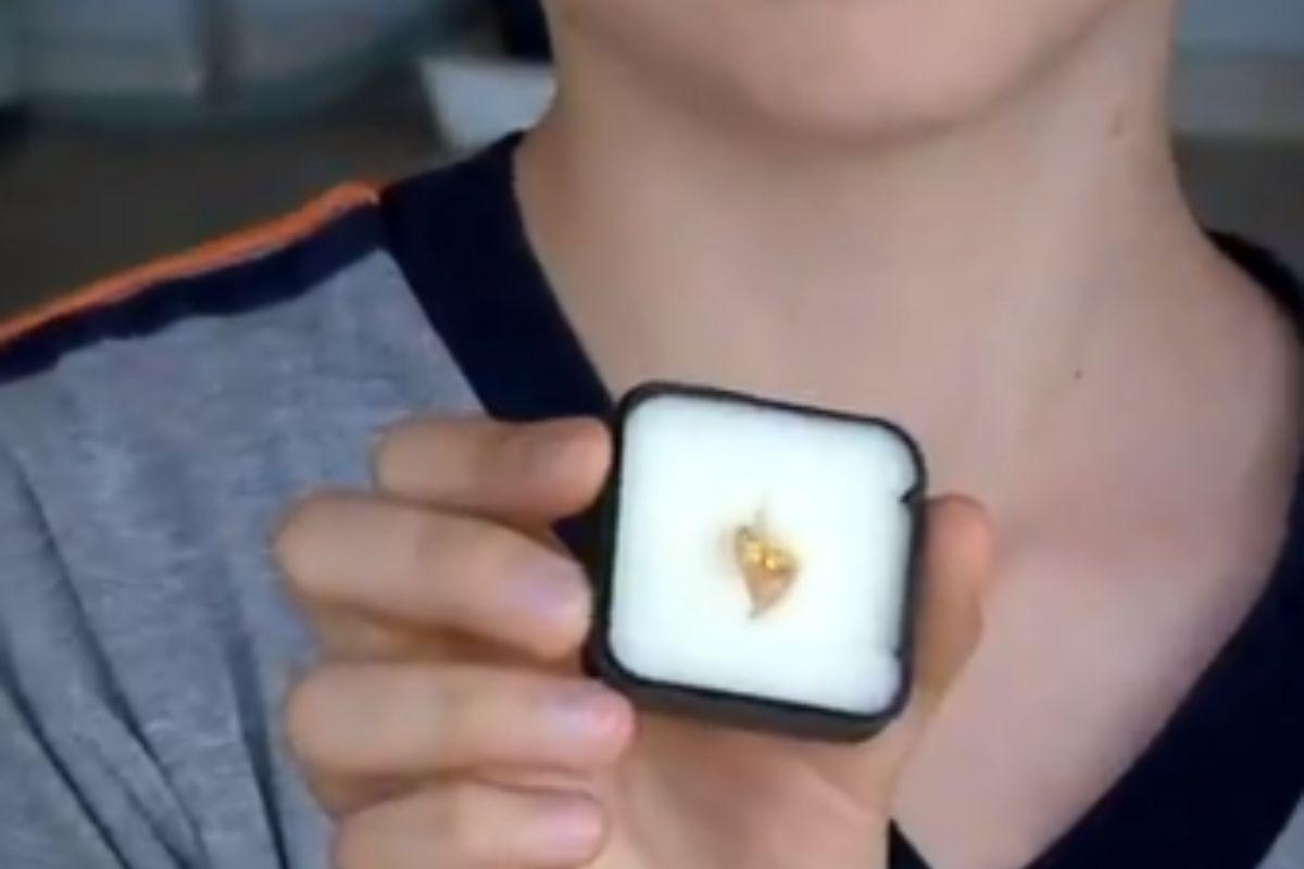 Menino de 12 anos acha pepita de ouro