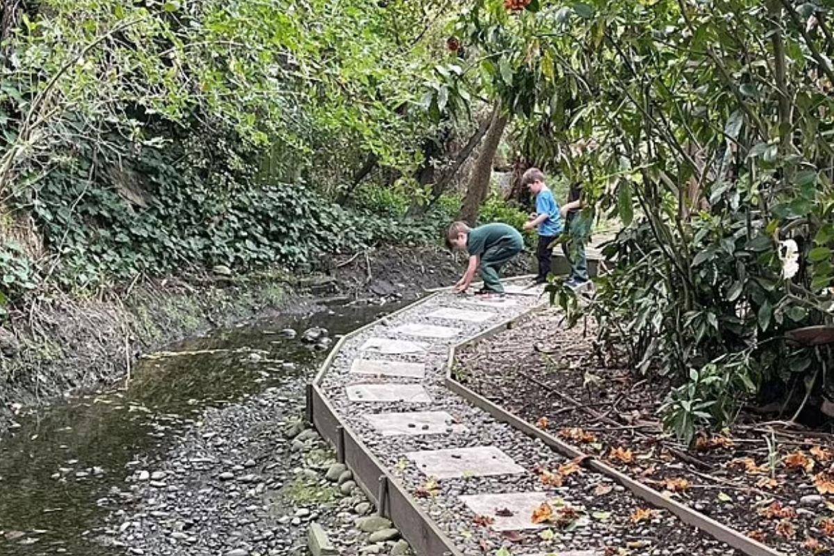 Menino encontrou minhoca gigante no quintal de casa