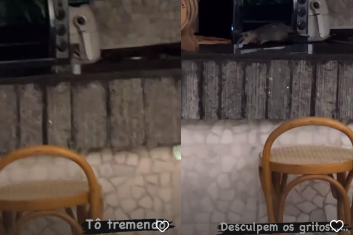 Poliana Rocha fala sobre invasão em mansão e mostra momentos tensos