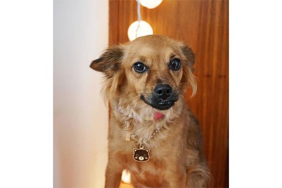 (Foto: Reprodução/Instagram)