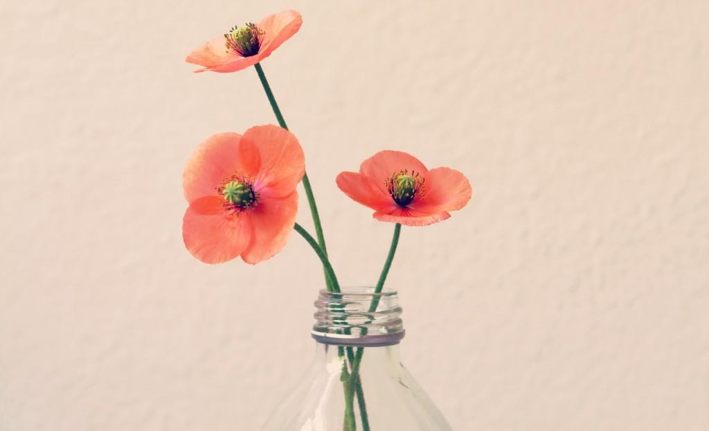 engravidar aos 20, 30 e 40 anos