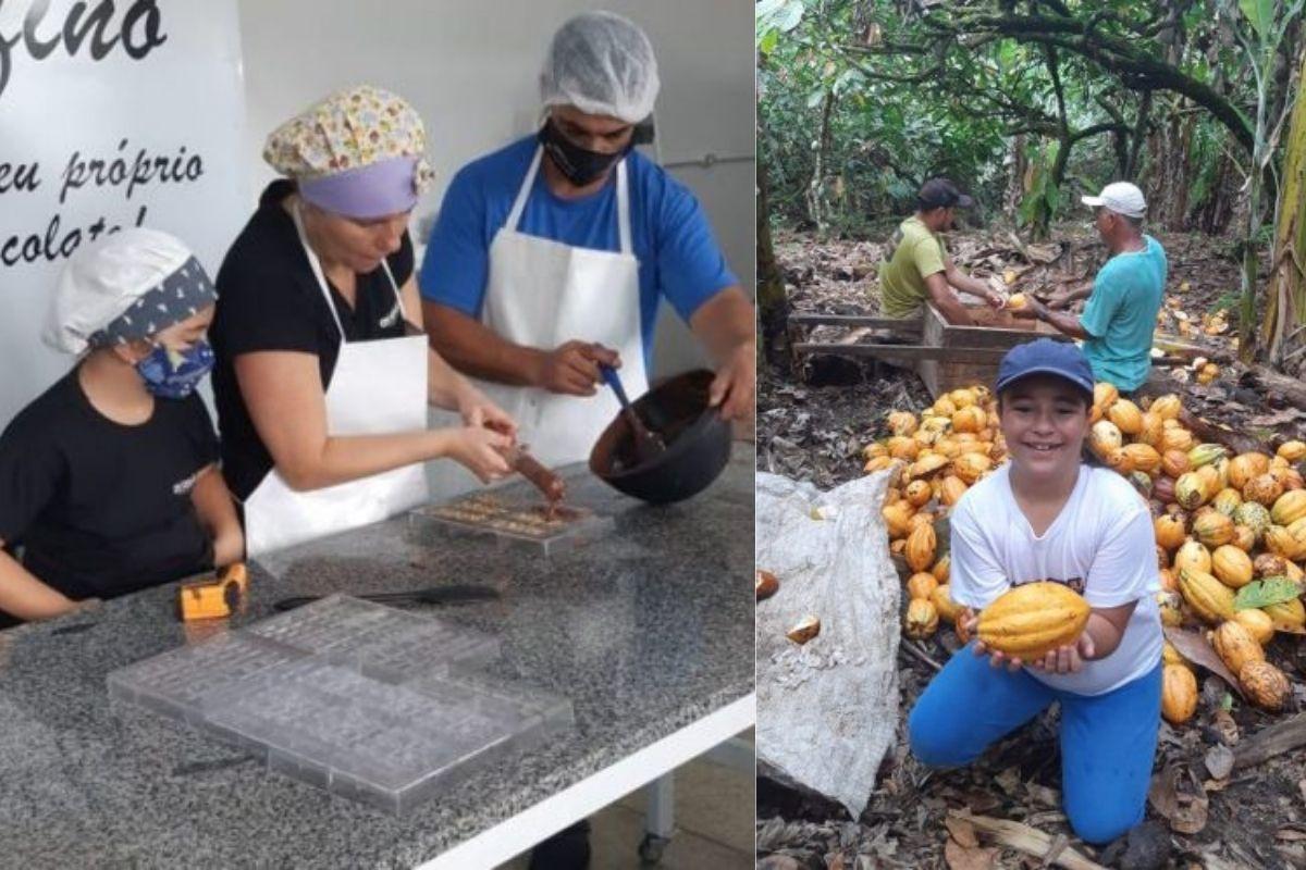 Julia cresceu vendo a família produzir cacau