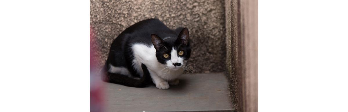 (Foto: Bruno Marcal)