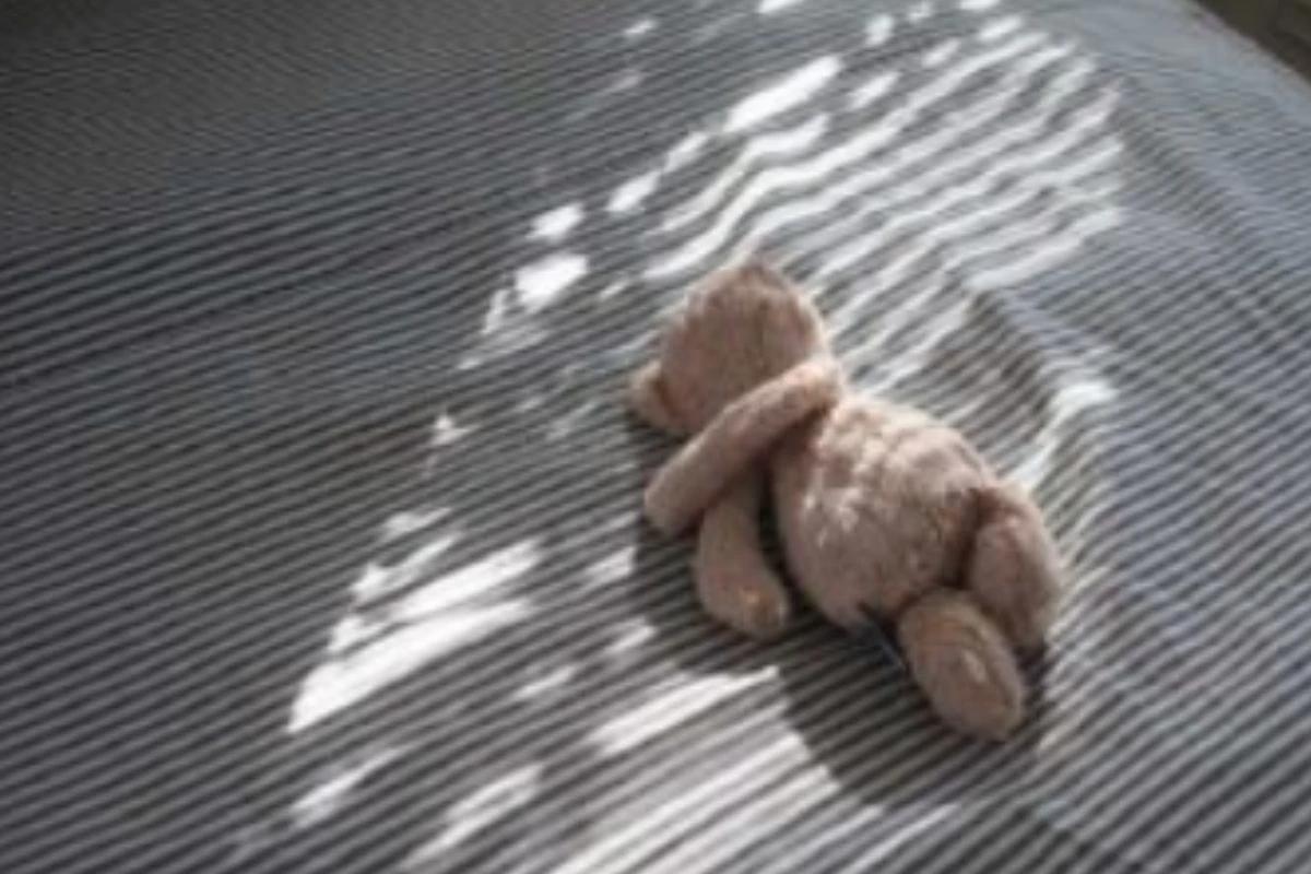 Urso de pelúcia na sombra