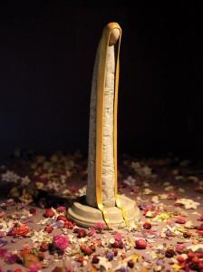 Shaun Tan - Rapunzel