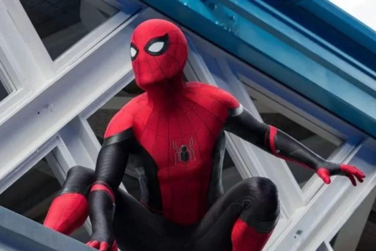 Menino é picado por viúva negra