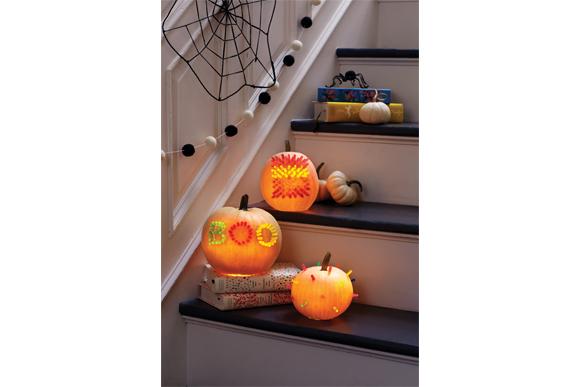 (Foto: Dane Tashima)