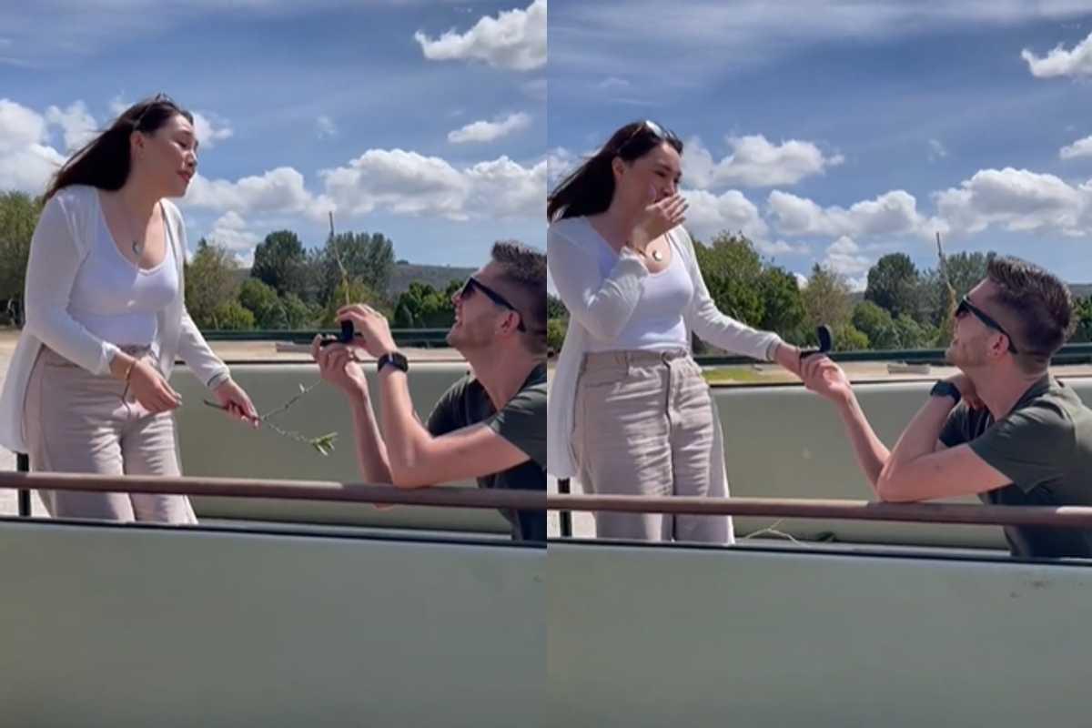 Pedido de casamento faz noiva ter que usar colar cervical após acidente com girafa