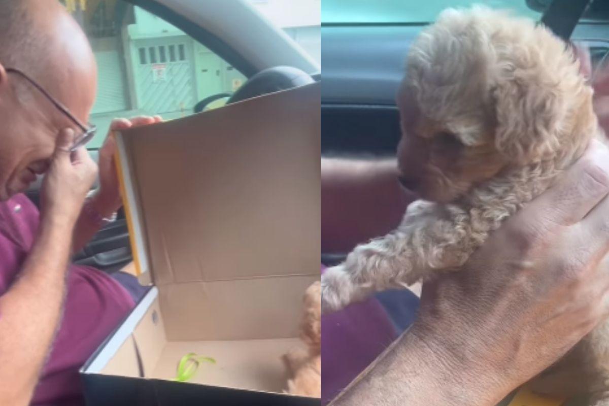 Caroline Lins deu um cachorro de presente para o pai 