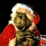 (Foto: Divulgação)