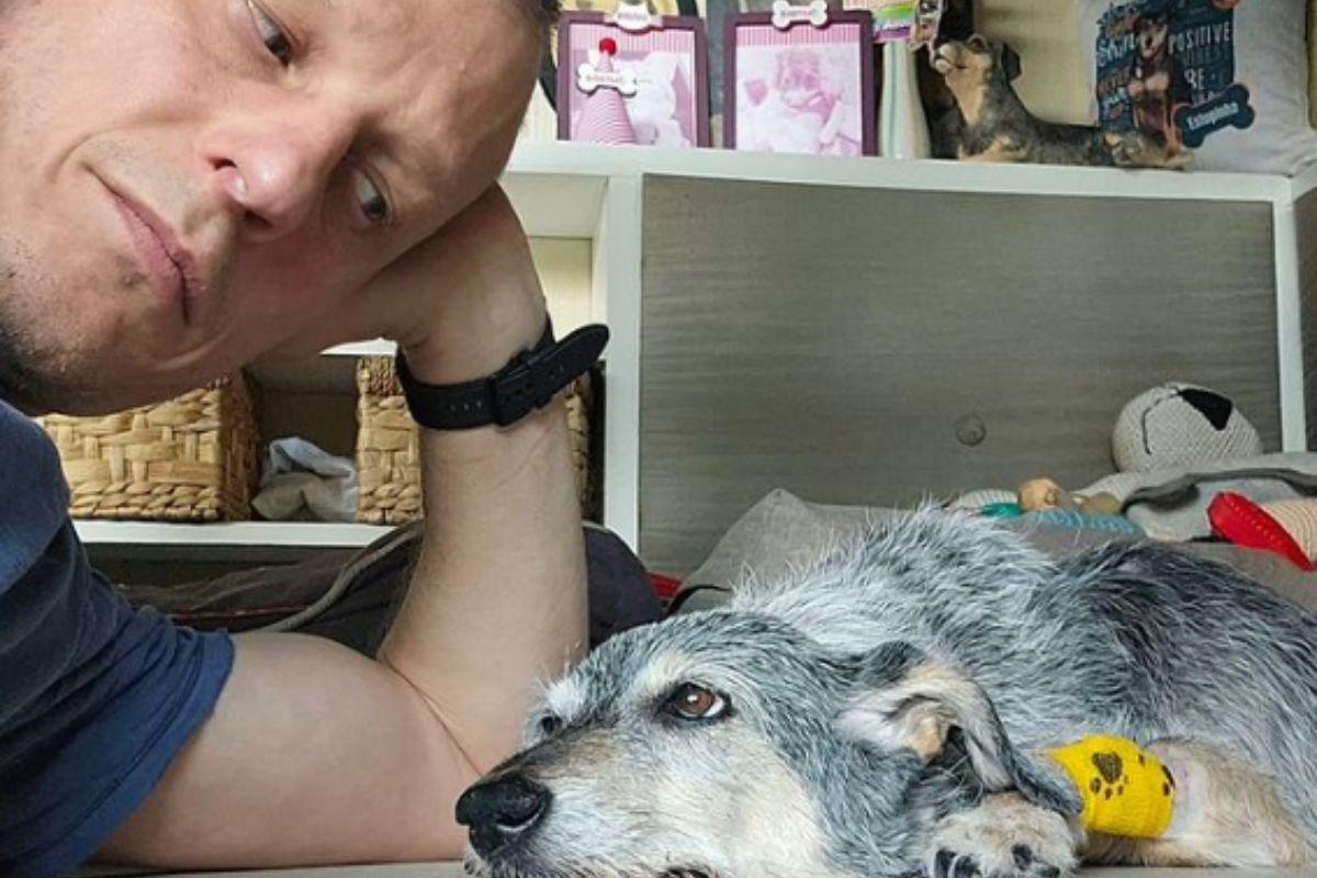 Estopinha, Alexandre Rossi, veterinário Alexandre Rossi, doutor Pet, doutor Pet Alexandre Rossi, tutor Estopinha, cachorra do Doutor Pet, cachorra do Alexandre Rossi, o que aconteceu com Estopinha, como está Estopinha, do que Estopinha morreu