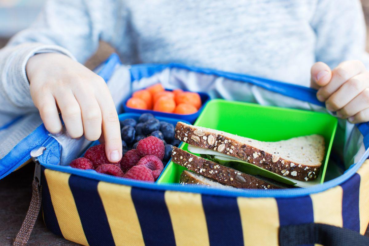 Lancheira de criança aberta 