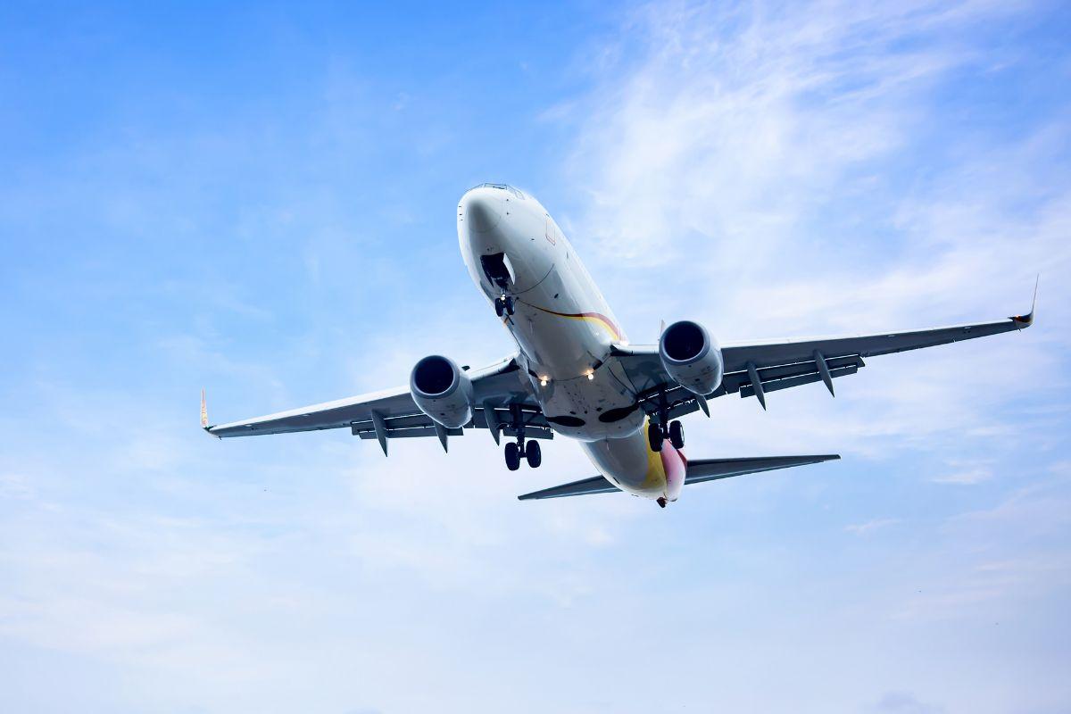 Pai deixa filhos pilotarem avião, queda de avião