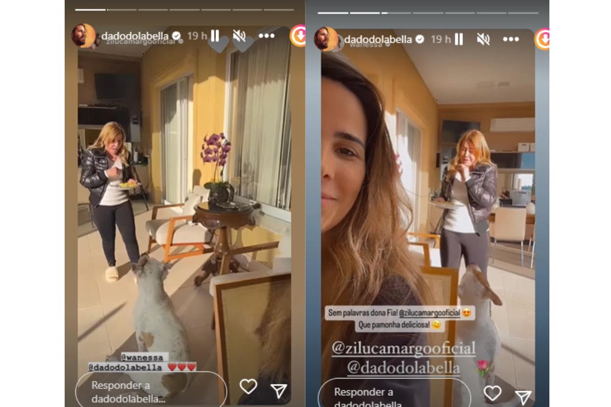 Dado Dolabella compartilhou um vídeo com Zilu Camargo e Wanessa Camargo