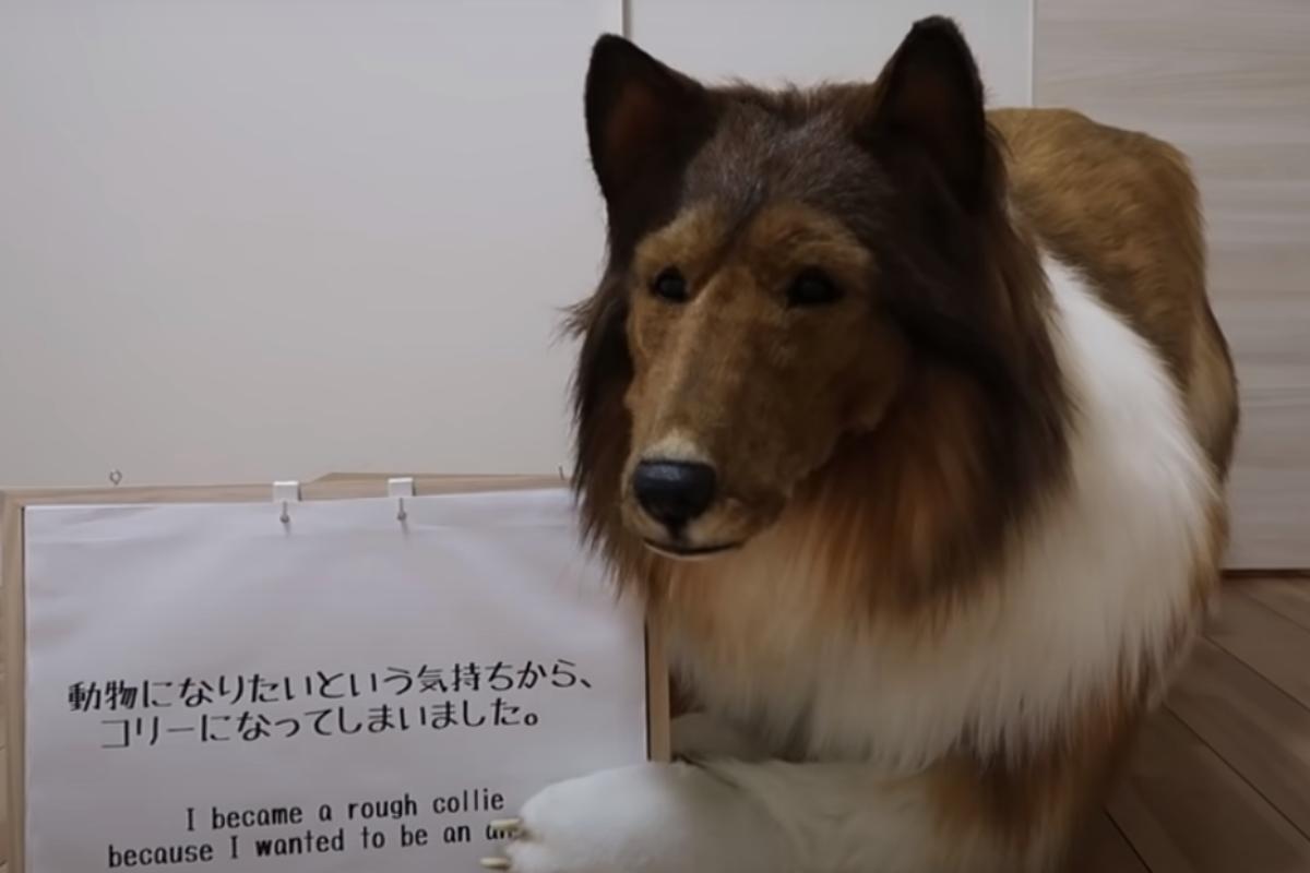 Homem faz fantasia realista e se transforma em cachorro