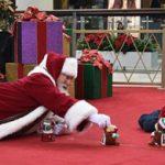 (Foto: Divulgação)