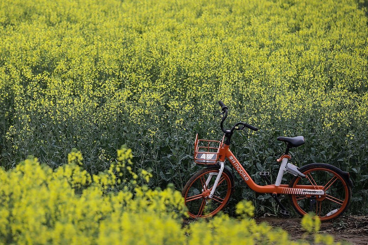 “Fingi roubar a bicicleta da minha filha como forma de lição, mas ela está furiosa comigo”