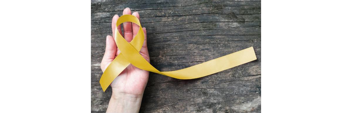 O Dia Mundial de Prevenção do Suicídio foi estabelecido pela Organização Mundial da Saúde em parceria com outras instituições internacionais relacionadas à saúde mental