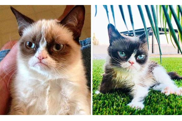 (Foto: Reprodução)