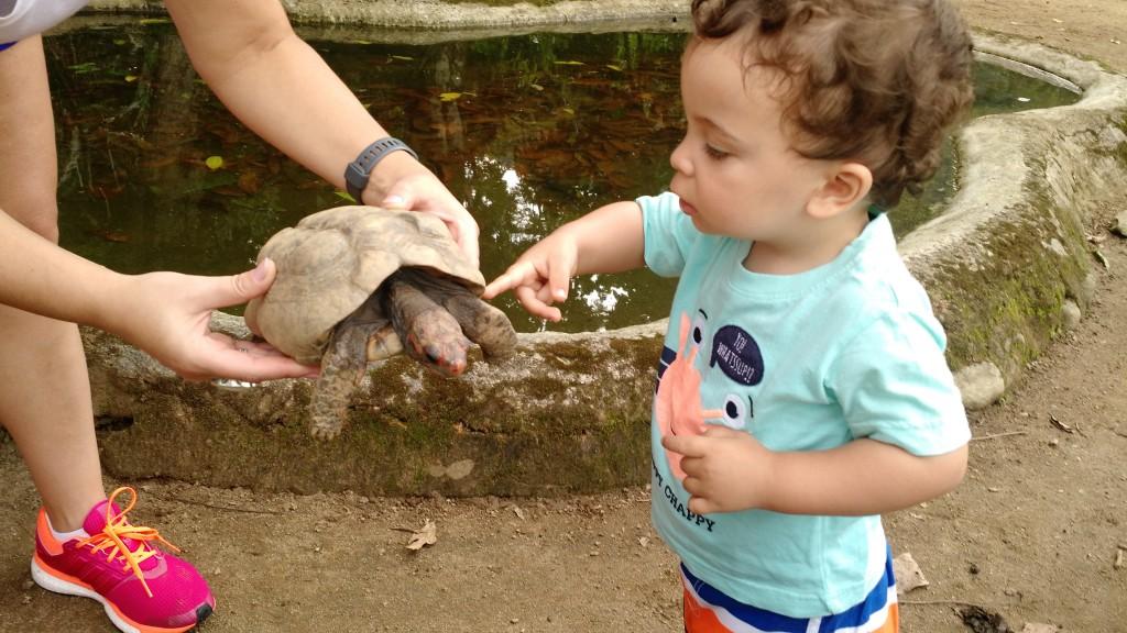 2015-11-01 09.37.50-2